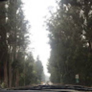 Meet your Posher, Jose